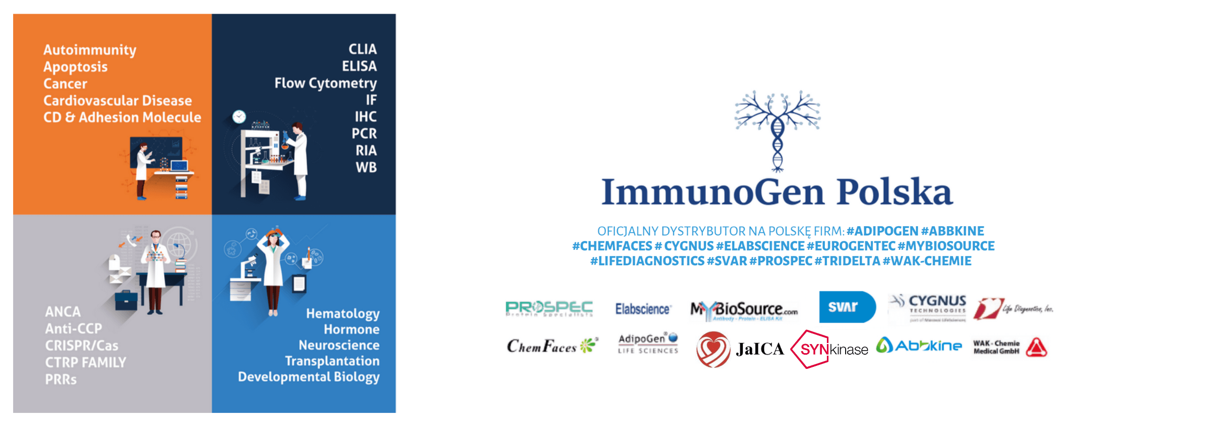 ImmunoGen Polska